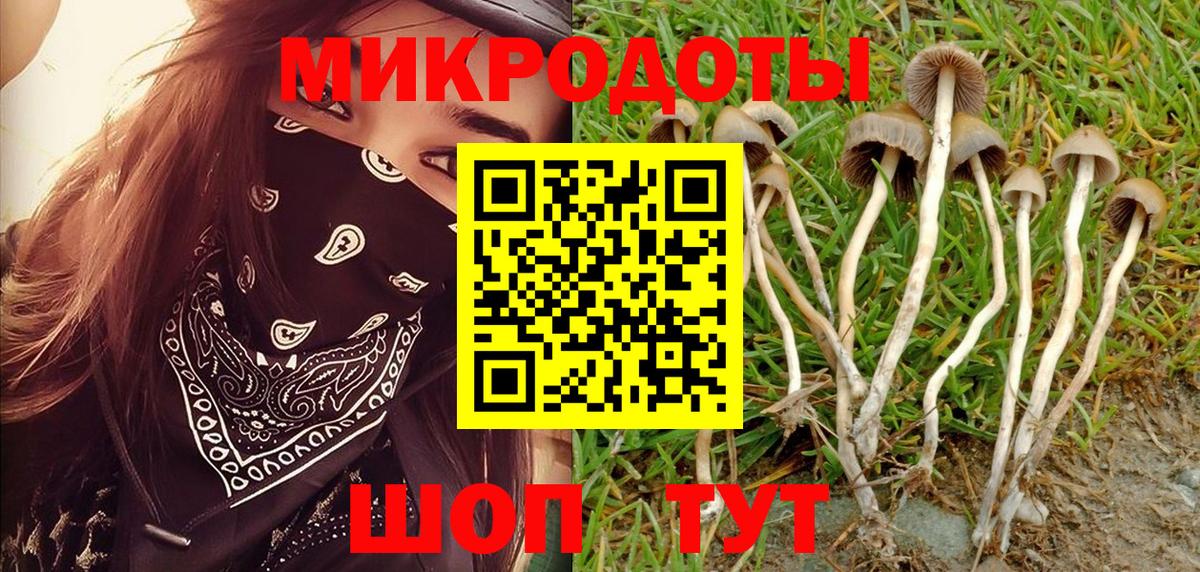 Галлюциногенные грибы GOLDEN TEACHER Лосино-Петровский
