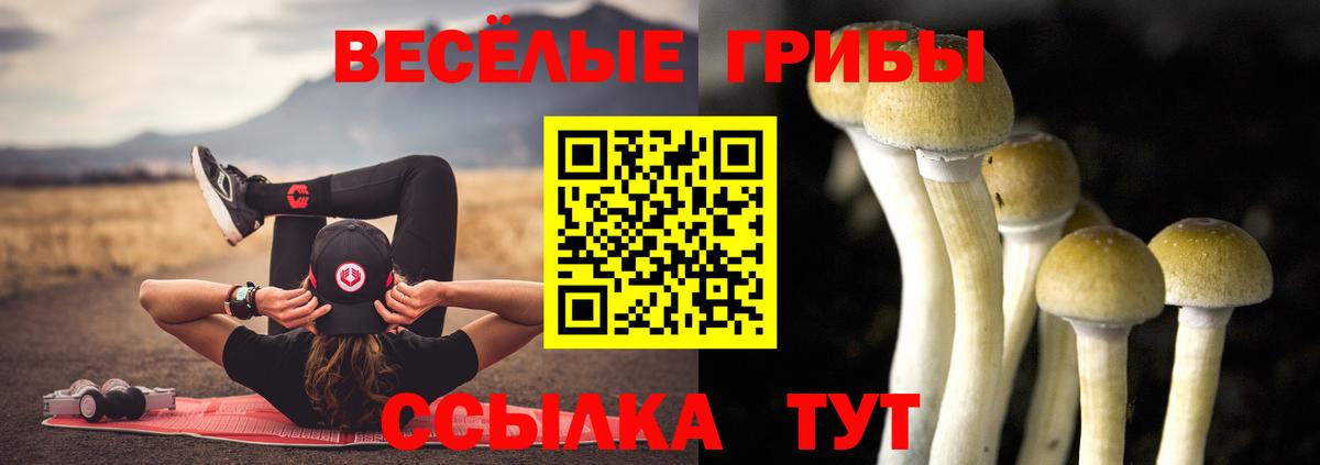 купить наркотики сайты  Псилоцибиновые грибы прущие грибы  Вход с VPN  Лосино-Петровский  Галлюциногенные грибы прущие грибы 